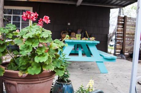 turquoisepicnictable