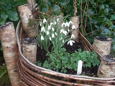 Winter Woodland Garden Walk