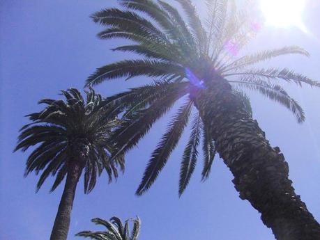 TRAVEL: Santa Monica, California