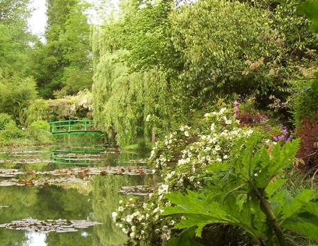 Claude Monet Water Lily Pond in Giverny - shoreline of pond - France