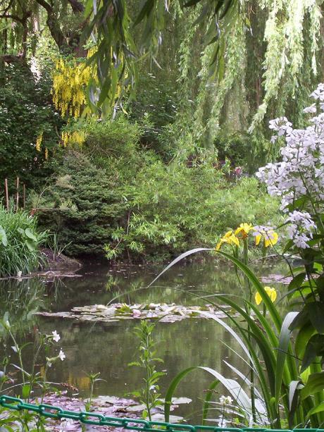 Water lilies - Claude Monet's Water Garden - Giverny