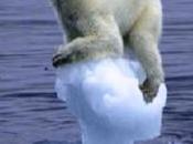 Obama Administration Finalizes Polar Bear Extinction Plan