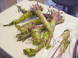 Khat: A Psychologist's Field Trip