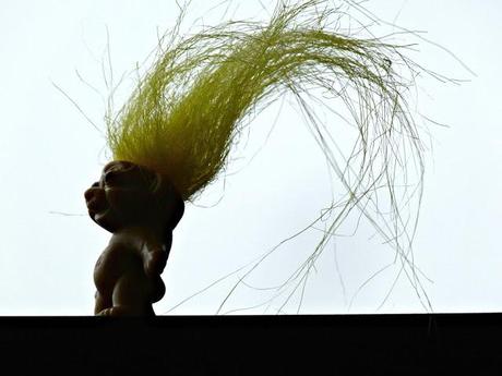 51/365 Me and the troll