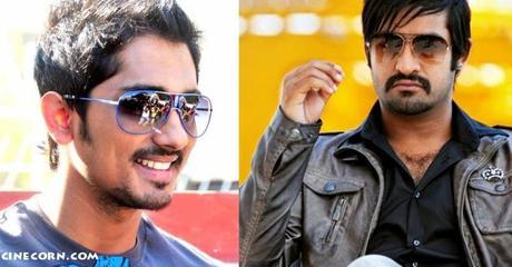 siddharth jr ntr baadshah movie pics stills Hero Siddharth’s Special Role In Baadshah?