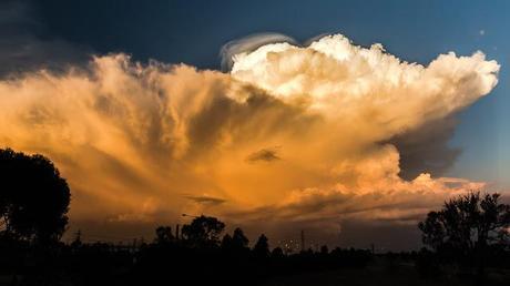 cumulonimbus calvus cloud at sunset