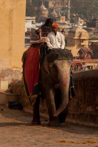 Jaipur