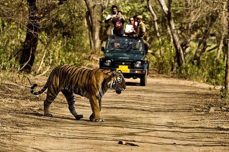 Jim Corbett National Park Information