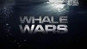 Whalewars_titlecard