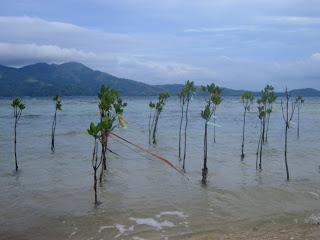 Mt. Manaphag a.k.a Pan de Azucar and the islands of Concepcion, Iloilo