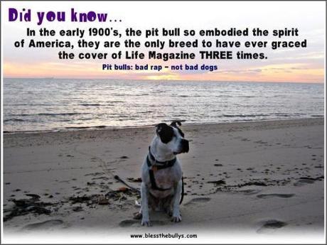 485120_611547312205434_1962042546_n