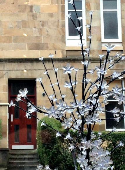 53/365 My kind of training