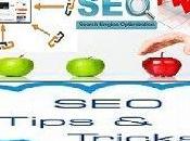 Pros Cons Search Engine Optimization