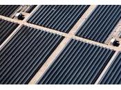 Antelope Valley Solar Ranch Achieved Generating Capacity
