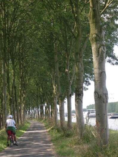 Cycling the Amsterdam-Rhine Canal 