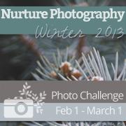 Nurture Photography - Winter 2013 Photo Challenge