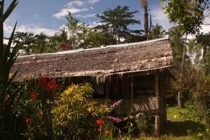 Trekking in Remote Papua New Guinea: Kokoda Homestay