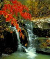 Red Autum Falls