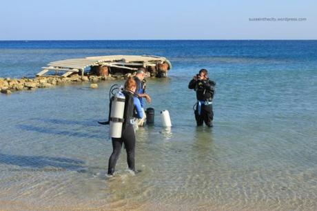 marsa new year 185