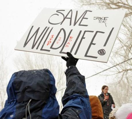 Mile Long Protest in Utah Says “No to Freeways!”