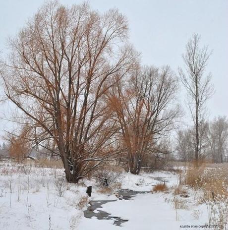 SnowRiver3