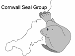 Featured Animal: Grey Seal