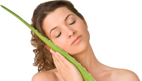 Aloe Vera Beauty Benefits Beauty Benefits of Aloe Vera