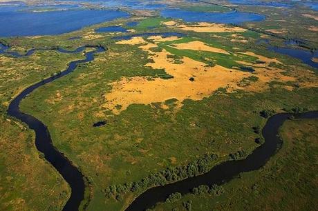 Wild Danube Delta