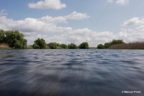 Wild Danube Delta