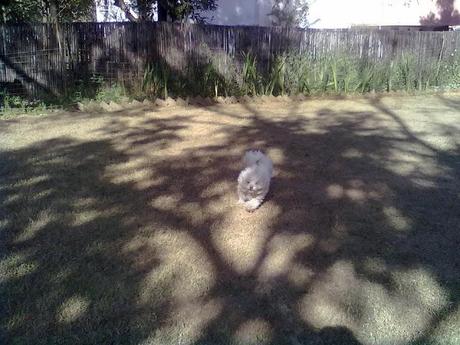 Nightmares and Reality-Write over the Weekend-Jan18,2013