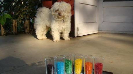 Nightmares and Reality-Write over the Weekend-Jan18,2013