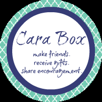 February Cara Box Reveal {Link Up}