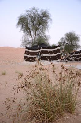 Camping, glamping and dune stamping. Desert accommodation in the UAE and beyond