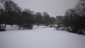 Lake covered with snow Ørsteds Parken Copenhagen