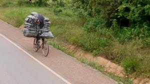 ‘Getting to market’ – a man pushes his heavily laden bike with bags of cereal.