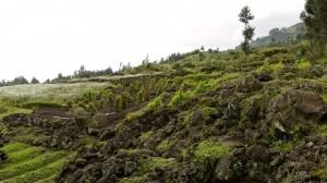 Terraced farmland en-route to Volcanoes National Park Rwanda