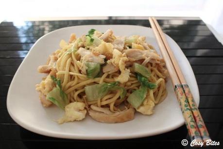 Stir Fried Egg Noodles with Chicken