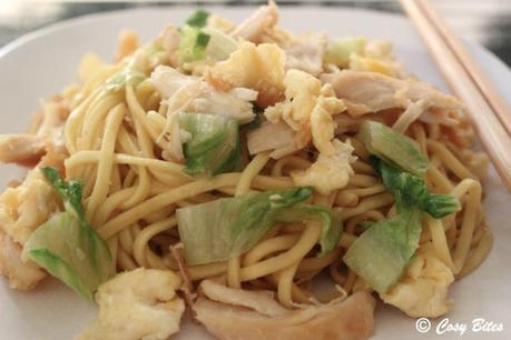 Stir Fried Egg Noodles with Chicken-2