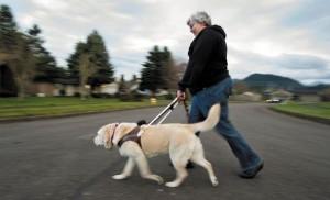Woman has dual bond with her guide dog, friend