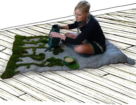 Growing moss on your rug?