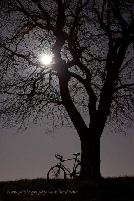 Bike and tree in the moonlight, on Calton Hill, Edinburgh
