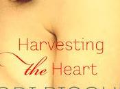 Book Review: Harvesting Heart, Jodi Picoult