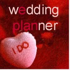 The Wedding Planner- The Control Queen Meets Her Match