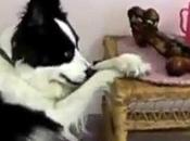 UNBELIEVABLE Ritual DOGS Have Before Eating!