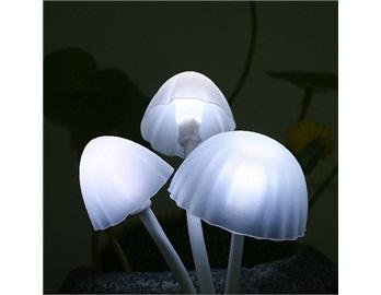 Fantastic mushrooms lighting