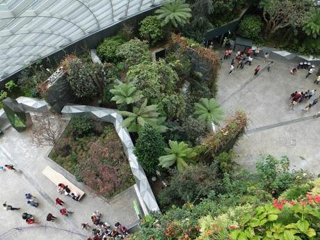 A Walk in the Cloud Forest