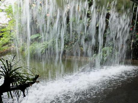 A Walk in the Cloud Forest