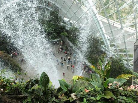 A Walk in the Cloud Forest