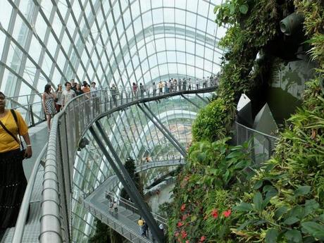 A Walk in the Cloud Forest