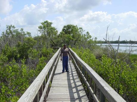 Lauren taking a stroll through the sawgrass